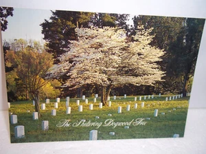 Vintage Postkarte Schutz Hartriegel Vicksburg National Militärpark Mississippi - Bild 1 von 2