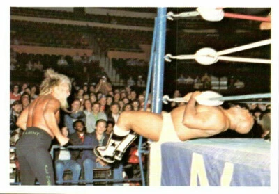 1988 Wonderama NWA Wrestling Card #201 Jimmy Valiant - Image 1 of 2