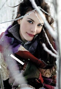 PHOTO taille au choix LIV TYLER (63) - Bild 1 von 1