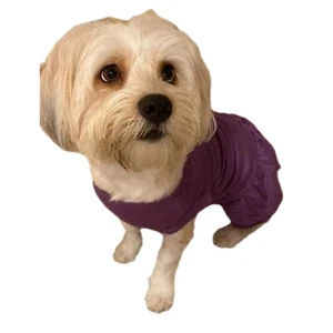 Dog Pet Dress Sleeveless Skirt Sporty Clothes Soft Shirt Halloween Tank Dresses - Picture 1 of 35