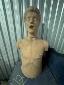 CPR Training Manikin Torso w/ Airway Tube – Rescue Breathing EMT Dummy Model  - Picture 1 of 1