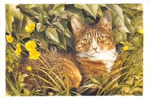 POSTAL PERRO Y GATO TAMAÑO CONTINENTAL GATO ATIGRADO BUENA MUY BUENA - Imagen 1 de 2