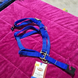 NUEVO Halter de Caballo de Nylon Básico de Cuero Tejedor No Ajustable 1" AZUL PROMEDIO - Imagen 1 de 5