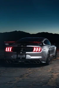 Ford Mustang Shelby GT500 in Silver, Rear end Poster 24x36 inch - Picture 1 of 1