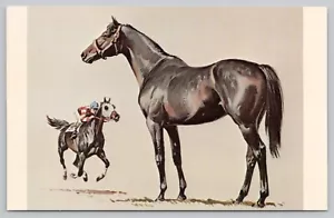 Postcard Thoroughbred - Fastest Breed of Horse, Artist Rendition - Picture 1 of 2