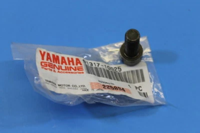 Nuevo de Lote Original Yamaha Frame Bolt 1997-2008 YZF1000 XV1600 YFM66 FZ600 91317-10025 Foto 1 de 4