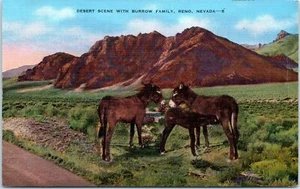 NV Postcard Desert Scene With Burrow Family Reno Nevada Donkeys Baby Sparks PM - Picture 1 of 2