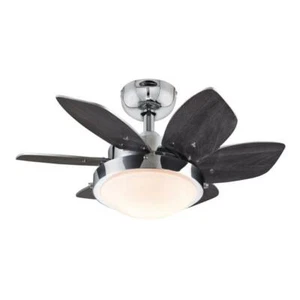Westinghouse 7236600- Quince 24-Inch Reversible Six-Blade Indoor Ceiling Fan - Picture 1 of 9
