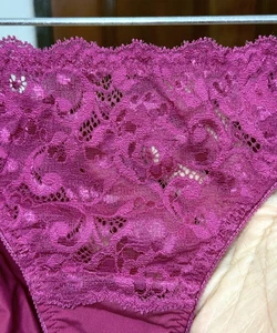 Vintage Silky Nylon Hi Cut Panty Sheer Floral Lace Bikini Brief Sz.5 Hips 34-37" - Picture 1 of 21
