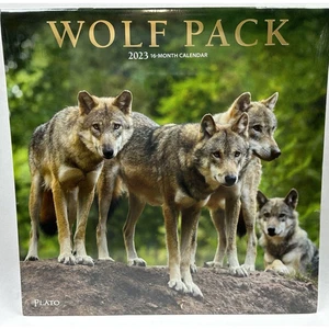 BrownTrout Wolf Pack 2023 12" x 12" Wandkalender Kunst Wölfe Wolf Pack Natur - Bild 1 von 5