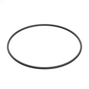 Hayward DEX2422Z2 metallverstärkte Filterdichtung für ausgewählte Hayward Filter - Bild 1 von 8