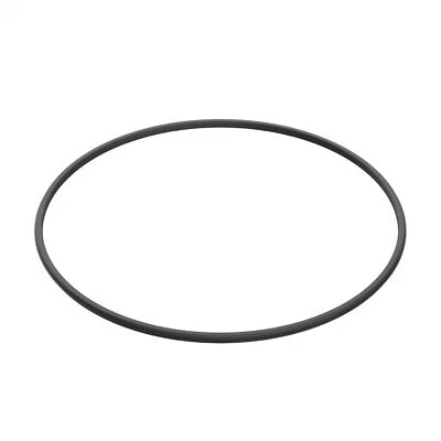Hayward DEX2422Z2 Metal Reinforced Filter Seal for Select Hayward Filter - Image 1 of 4