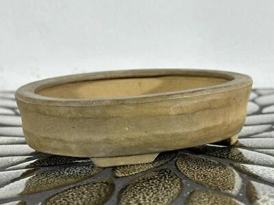 "Olla bonsái Shohin japonesa ovalada de segunda mano con estampillas - 5""" Foto 1 de 4