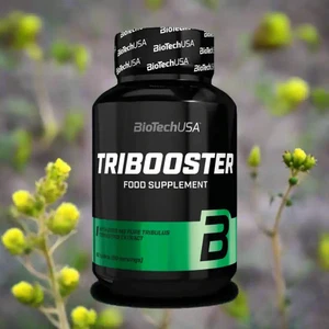 Tribooster 120 x 2000mg - Bild 1 von 10
