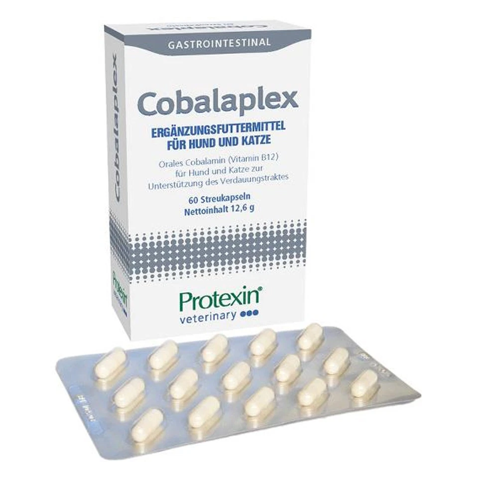 Dechra Cobalaplex 2x60 Kapseln | Hunde | Katzen | Verdauungstrakt