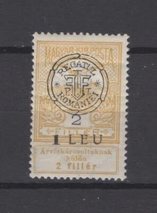 Romania - Hungary - Cluj - Flood 1919 1L / 2f MH No Guarantee - Picture 1 of 2