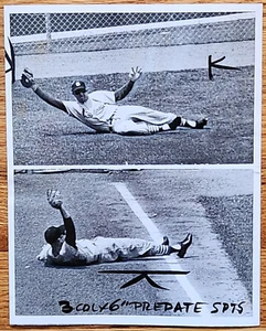 St. Louis Cardinals Joe Cunningham Dives for Catch Press Photo Béisbol 1961 - Imagen 1 de 1