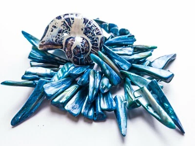 Nautilus Porzellan 40 mm mit Perlmuttzapfen Strang 30 cm (4/8) - Bild 1 von 3