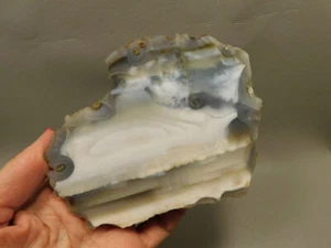 Agate Polished Waterline Stone Collector Rock Idaho #O3 - Picture 1 of 9
