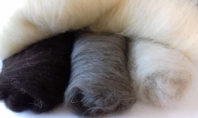 Pure Shetland Carded Core Wool Batts 4 Colours Undyed Natural UK Breed Felt Spin - Image 1 of 4