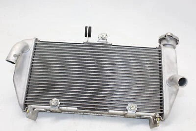 Radiador de motor Yamaha Yzf R3 2015-2018 radiador de refrigeración OEM Foto 1 de 4