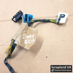 BMW E90 2004–2013 Parking Sensor ECU Module Wiring Plugs  Loom 8364646 - Picture 1 of 3