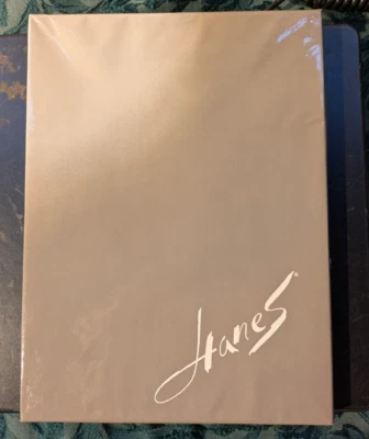 Medias altas hasta el muslo de nailon vintage caja vacía Hanes Foto 1 de 4