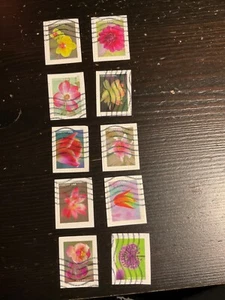 #5558-67..GARDEN BEAUTY..USED..ON PAPER. REF#54 - Picture 1 of 1