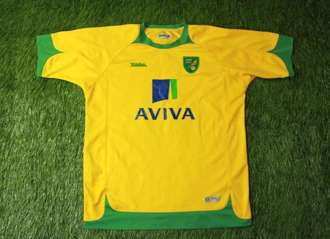 NORWICH CITY # 11 2008/2010 RARE FOOTBALL SHIRT JERSEY HOME XARA ORIGINAL SIZE L Cover
