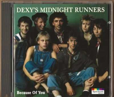 Dexy´s Midnight Runners-CD-Because Of You-1993-BESCHREIBUNG LESEN! - Bild 1 von 3