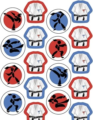 Paquete de 4 hojas de pegatinas de valor de cinturón negro arte marcial karate fiesta de cumpleaños favores Foto 1 de 3