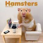 Hamsters Calendar 2024  Square Animal Wall Calenda