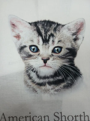 4 American Short Hair Cat  8 X 8 inch Fabric Quilt Squares - Image 1 of 4