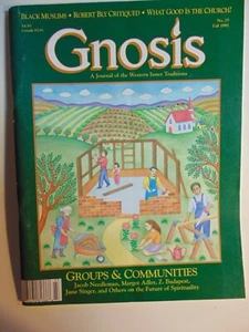 Gnosis Magazine Fall 1992~WHAT GOOD IS THE CHURCH? - Picture 1 of 1