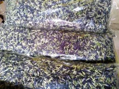 Té seco azul mariposa flor guisante bebida azul orgánico Ceilán envío gratuito Foto 1 de 4