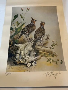Rene Busnego Stampa Numerata Uccellini Edizione Limitata Northern Bobwhite Quail 1983 - Foto 1 di 12