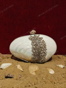 Handmade Sea Shell Minaudiere with Silver Filigree, Pearl Detail & Shoulder bag - Bild 1 von 4