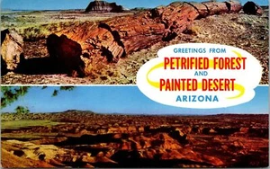 Versteinerter Wald National Monument bemalte Wüste Arizona Postkarte - Bild 1 von 2