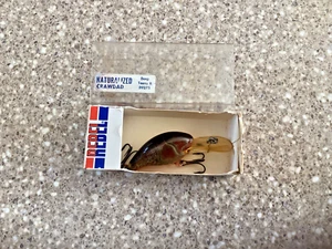 Vintage Rebel Naturalized Crawdad Deep Teeny -R D9275 in Original Box - Picture 1 of 8