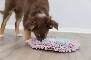 Schnüffelteppich Welpen Kitten Kätzchen Tranining waschbar Antischling Futter - Bild 1 von 12