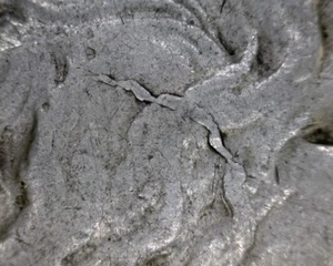 RARE "TOP 50" 1922 VAM 2C "DIE BRAKE " PEACE SILVER DOLLAR NICE CONDITION - Picture 1 of 3