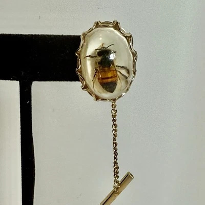 Vintage Tie Tac Real Bee Under Clear Acrylic  Foto 1 de 4