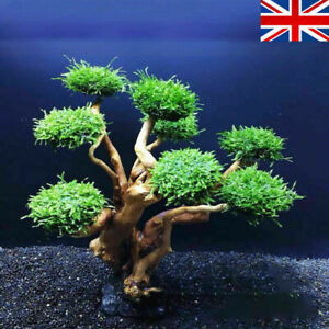 Artificial Plastic Bonsai Pine Tree Fish Tank Decoration Aquarium Accessories UK