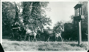 Animals: Transport: Horse Drawn: London Mail Coach - Vintage Photograph 1061138