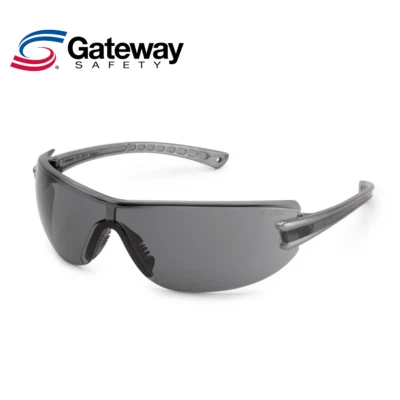 Gateway 19GY83 光明银色寺庙,灰色镶嵌,灰色镜片 — 第 1/2 张图片