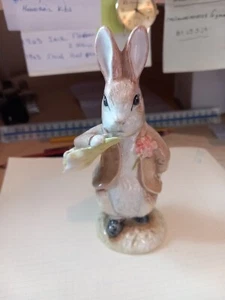 ROYAL ALBERT BEATRIX POTTER BENJAMIN ATE A LETTUCE LEAF F, WARNE & CO 1992. - Picture 1 of 8