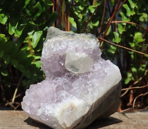 Racimo de cristal de amatista en bruto pieza de exhibición única 355 gramos crudo plano natural - Imagen 1 de 11