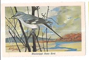 Mockingbird MISSISSIPPI STATE BIRD Art Painting By Ken Haag MS Postcard 1968 - Picture 1 of 2