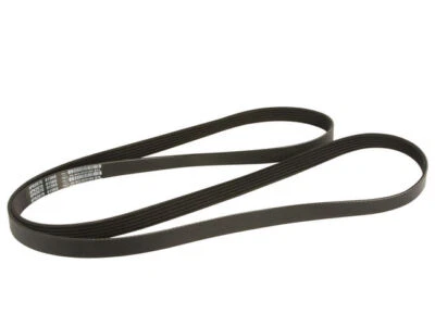 Cinturón primario Dayco 76588TYDH 1992 1993 para Plymouth Acclaim 1991-1995 Multi Rib Foto 1 de 2