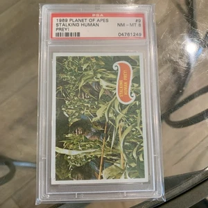 1969 Topps Planet of the Apes Stalking Human Prey! #9 PSA 8 NM - Picture 1 of 4